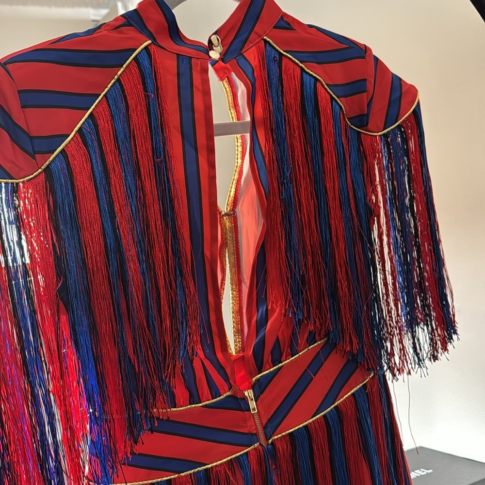 PARTY Zecrave grand mini dress - size S, never worn, og purchased f$250+ - Picture 5 of 6